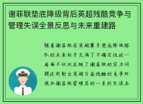 谢菲联垫底降级背后英超残酷竞争与管理失误全景反思与未来重建路