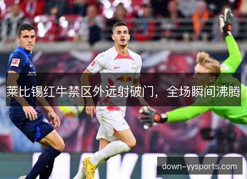 莱比锡红牛禁区外远射破门，全场瞬间沸腾
